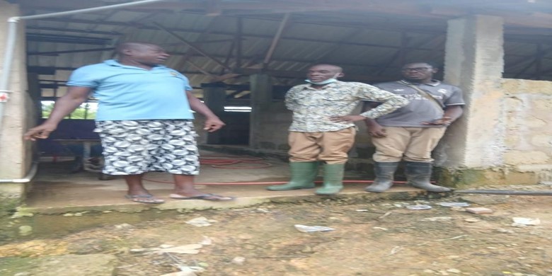 Farm visit at Bopeokyi to sensitize the Chief farmer on the need to construct a footbath at the entrance of his piggery to prevent infections. Visit by the Municipal Director of Agric (Mr. John Essien) and the officer for Dompim Operational Area (Mr. Joseph Shebrah).